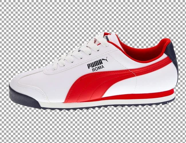 transparent-grid Shoe Transparent